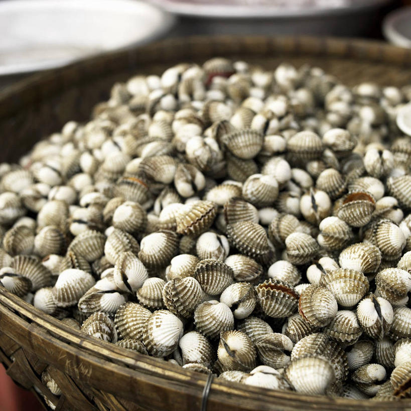 海鲜,无人,方图,俯视,室内,特写,白天,购物,消费,一堆,许多,阴影,堆叠,堆积,朦胧,模糊,反射,扁担,影子,集市,市场,扇贝,水产,海洋生物,金融,堆,海扇,水生动物,海产品,水生物,选购,贸易,海底动物,农具,竹木用具,彩图,高角度拍摄,鱼市