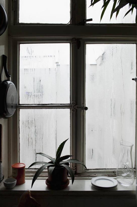 无人,竖图,室内,白天,正面,植物,雾,厨房,窗户,城市,餐具,花瓶,德国,欧洲,朦胧,模糊,碟子,盘,盆栽,汉堡,盆景,玻璃窗,玻璃制品,绿色,自然,盘子,玻璃瓶,瓶子,碟,生长,成长,迷雾,西欧,德意志联邦共和国,汉堡市,大雾,彩图,灶间,海港