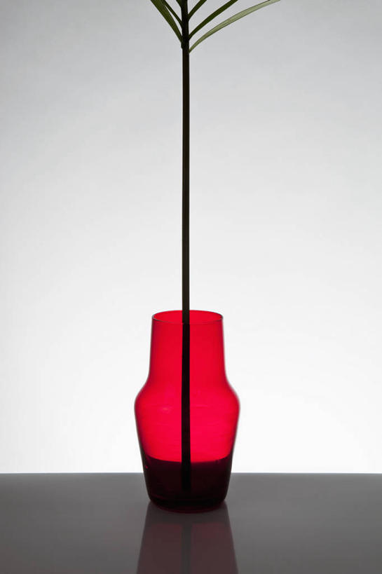 无人,竖图,室内,特写,白天,白色背景,正面,植物,棕榈树,花瓶,叶子,绿叶,玻璃制品,树,树木,一个,红色,绿色,自然,玻璃瓶,瓶子,嫩叶,摄影,影棚,生长,单个,成长,棕榈叶,叶,叶片,棕树,棕榈,彩图,影棚拍摄,拍摄