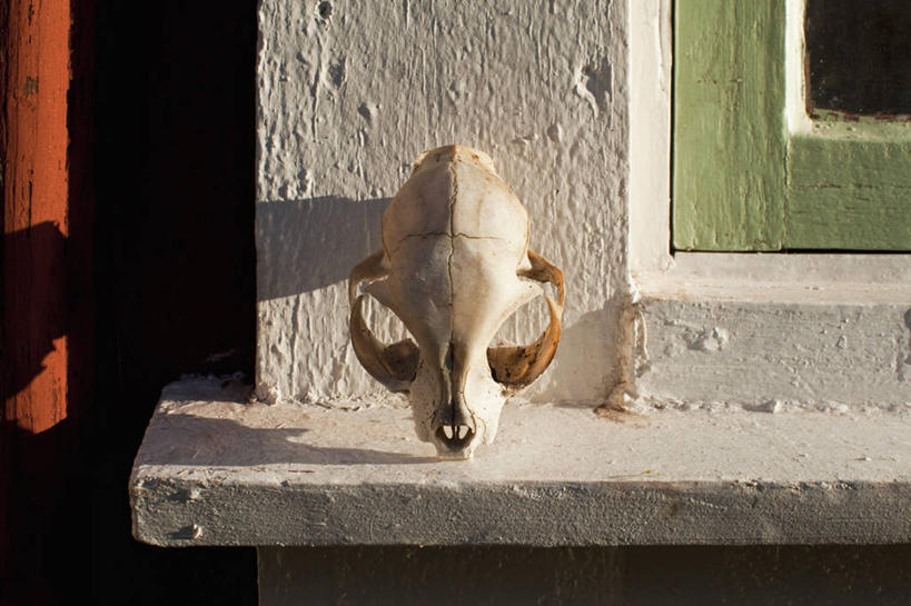 无人,家,横图,室外,特写,白天,正面,瑞典,欧洲,阴影,光线,标本,影子,房屋,墙,屋子,公寓,洋房,楼房,墙壁,墙面,住宅,白色,阳光,死亡,斯堪的纳维亚,北欧,斯堪的那维亚,斯堪的那维亚半岛,斯堪的纳维亚半岛,殒命,灭亡,布胡斯,瑞典王国,彩图,房子