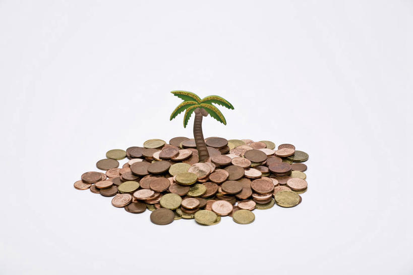 无人,横图,室内,特写,白天,白色背景,正面,钱,植物,棕榈树,叶子,一堆,一棵,许多,堆叠,堆积,钱币,绿叶,欧元,树,树木,绿色,自然,嫩叶,金融,摄影,影棚,生长,经济,成长,堆,流通,贸易,棕榈叶,货币,现金,硬币,叶,叶片,棕树,棕榈,彩图,影棚拍摄,拍摄