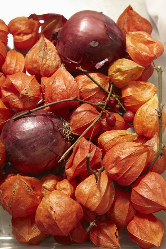 无人,竖图,俯视,室内,特写,白天,浆果,蔬菜,洋葱,水果,一堆,许多,阴影,堆叠,堆积,新鲜,反射,影子,生食,食品,果实,蔬果,食物,有机食品,绿色食品,堆,玉葱,冬樱花,悸动,冬海棠,高盆樱,荷兰葱,圆葱,洋葱头,球葱,葱头,彩图,高角度拍摄,红洋葱