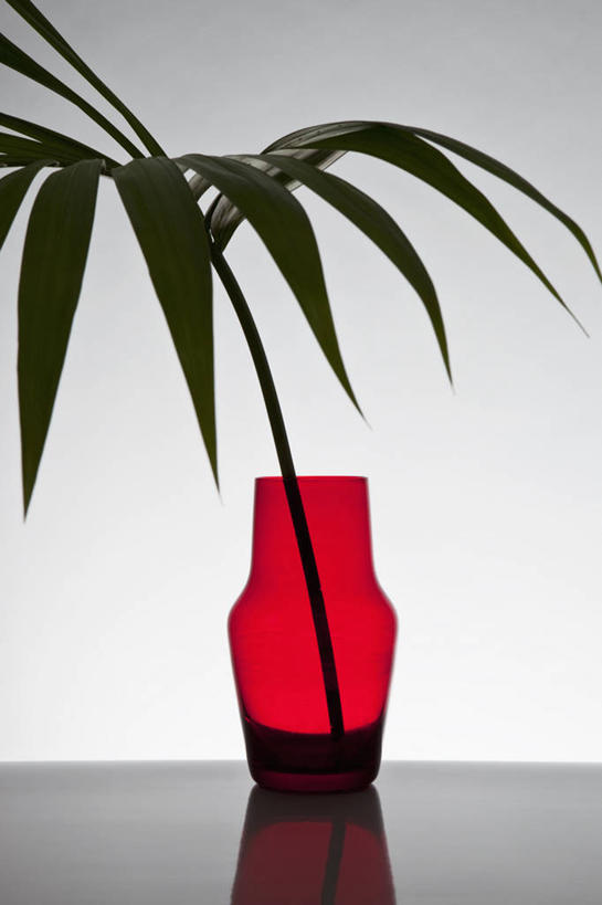 无人,竖图,室内,特写,白天,正面,植物,桌面,桌子,棕榈树,花瓶,叶子,阴影,灰色背景,反射,木制,影子,绿叶,玻璃制品,树,树木,一个,红色,绿色,自然,玻璃瓶,木制品,瓶子,嫩叶,摄影,影棚,生长,单个,成长,棕榈叶,叶,叶片,棕树,棕榈,彩图,影棚拍摄,拍摄