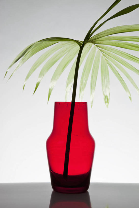 无人,竖图,室内,特写,白天,正面,植物,桌面,桌子,棕榈树,花瓶,叶子,阴影,灰色背景,反射,木制,影子,绿叶,玻璃制品,树,树木,一个,红色,绿色,自然,玻璃瓶,木制品,瓶子,嫩叶,摄影,影棚,生长,单个,成长,棕榈叶,叶,叶片,棕树,棕榈,彩图,影棚拍摄,拍摄