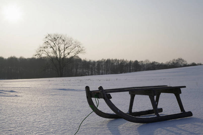 无人,横图,室外,白天,正面,旅游,度假,日出,美景,树林,太阳,植物,德国,欧洲,阴影,朦胧,模糊,光线,影子,景观,朝霞,晨曦,黎明,背光,娱乐,车,树,树木,绿色,阳光,自然,交通工具,享受,休闲,景色,放松,生长,成长,雪橇,西欧,自然风光,载具,雪橇车,逆光,德意志联邦共和国,勃兰登堡,勃兰登堡州,朝阳,彩图,卯时,破晓,日始