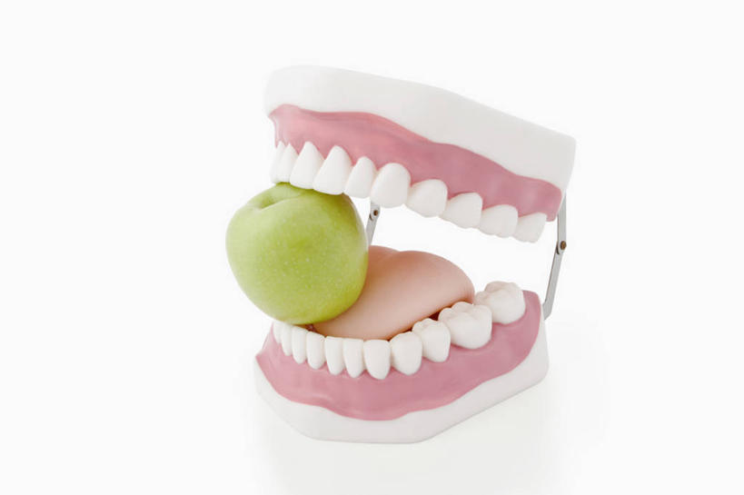 牙齿,无人,横图,室内,特写,白天,白色背景,正面,苹果,水果,咬,阴影,新鲜,反射,影子,生食,食品,果实,食物,一个,粉色,绿色,白色,青苹果,摄影,有机食品,绿色食品,影棚,单个,咬着,假牙,活动假牙,义齿,齿,牙,牙龈,彩图,影棚拍摄,拍摄