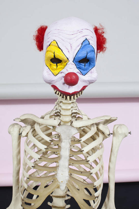 鼻子,骨骼,无人,小丑,竖图,室内,特写,白天,白色背景,正面,静物,阴影,装饰,反射,影子,墙,骨头,墙壁,墙面,白色,摄影,影棚,华丽,修饰,点缀,骨架,小丑鼻,衬托,美观,雅致,雅观,丑角,半身,彩图,影棚拍摄,拍摄