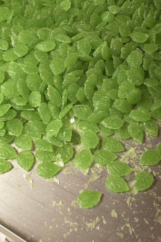 无人,竖图,俯视,室内,特写,白天,餐桌,桌子,一堆,许多,阴影,堆叠,堆积,新鲜,反射,影子,食品,糖,糖果,甜点,甜品,软糖,食物,绿色,甜食,餐台,青春,堆,生命,和平,安详,冷色,彩图,高角度拍摄