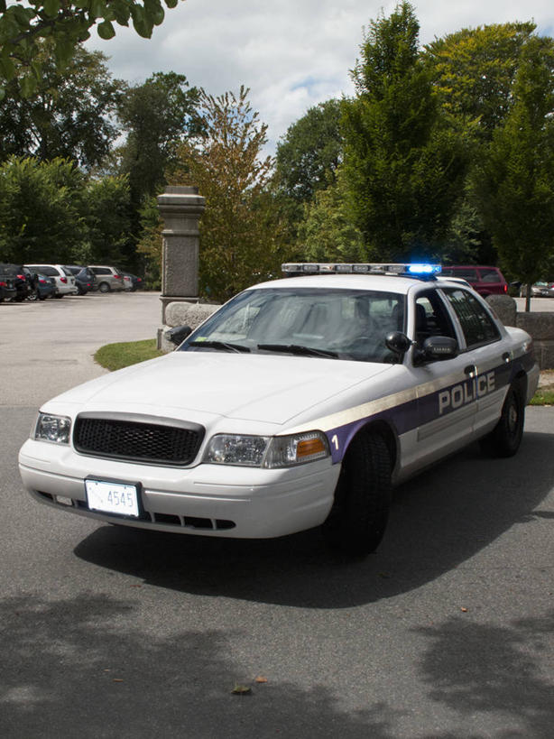 无人,竖图,室外,白天,正面,度假,草地,草坪,美景,植物,城市风光,城市,汽车,警车,美国,一辆,阴影,光线,影子,景观,娱乐,车,草,树,树木,蓝色,绿色,蓝天,天空,阳光,自然,交通工具,轿车,天,享受,休闲,景色,放松,生长,晴朗,成长,北美,北美洲,载具,美洲,万里无云,北亚美利加洲,亚美利加洲,晴空,晴空万里,彩图