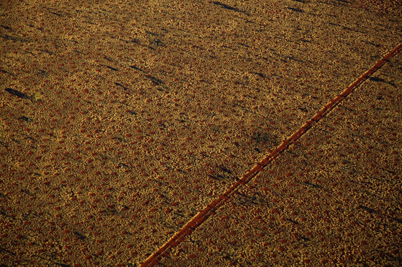 无人,横图,俯视,航拍,室外,白天,旅游,度假,美景,沙漠,道路,路,澳大利亚,纹路,纹理,景观,小路,交通,娱乐,自然,享受,休闲,景色,放松,笔直,鸟瞰,自然风光,大洋洲,澳洲,南方大陆,肌理,澳大利亚联邦,笔挺,西澳大利亚,西澳大利亚州,大漠,砂漠,彩图,高角度拍摄