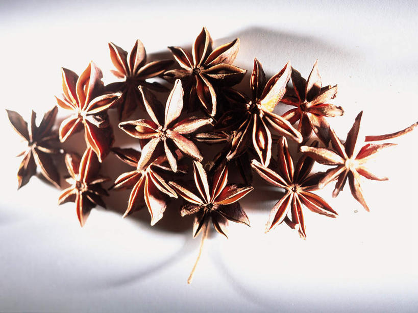 无人,横图,室内,特写,白天,白色背景,正面,植物,一堆,许多,阴影,堆叠,堆积,朦胧,模糊,光线,影子,草药,药草,中药,摄影,影棚,堆,药材,中草药,茴芹,中药材,本草,鹅脚板,异叶茴芹,彩图,影棚拍摄,拍摄