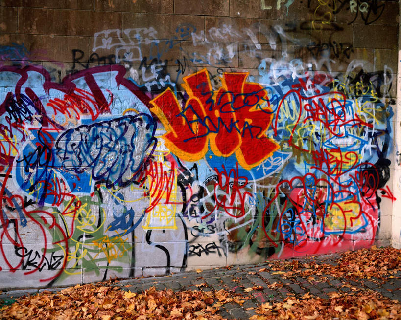 无人,横图,室内,白天,正面,抽象,度假,绘画,美景,城市风光,城市,叶子,阴影,艺术,光线,彩绘,图案,影子,景观,枯叶,落叶,艺术品,古典,文化,娱乐,工艺品,品味,享受,休闲,概念,景色,放松,美术,高雅,美学,图文,叶,叶片,彩图,涂鸦