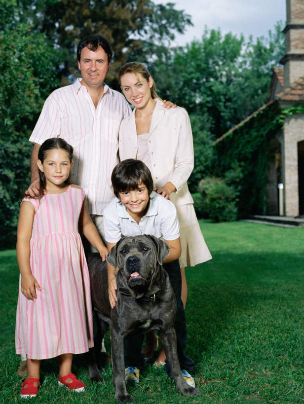 西方人,儿童,四个人,家庭,夫妻,母亲,父亲,女儿,儿子,站,笑,摸,微笑,露齿笑,竖图,室外,白天,正面,爱情,纯洁,草地,草坪,植物,宠物,狗,欧洲,欧洲人,抚摸,弯腰,阴影,服装,光线,影子,浪漫,注视,休闲装,草,树,树木,一只,小孩,衣服,绿色,黑色,阳光,自然,动物,观察,看,站着,休闲,温暖,温馨,父女,父子,母女,母子,一家人,休闲服,恩爱,父爱,可爱,母爱,童年,童趣,恋人,服饰,生长,成长,观看,和睦,察看,关注,童真,烂漫,无邪,忠诚,弯身,獒犬,牛头獒犬,天真,男孩,男人,男性,年轻男性,年轻女性,女孩,女人,女性,白种人,孩子,年轻人,夫妇,情侣,犬,触摸,接触,站立,彩图,全身,伴侣,融洽,男生,女生