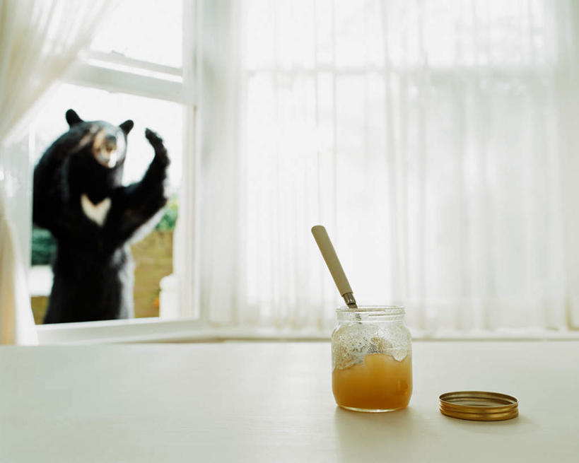 蜂蜜,无人,站,举,横图,室内,白天,正面,餐桌,窗户,窗帘,桌子,野生动物,熊,黑熊,玻璃,关闭,阴影,生气,朦胧,模糊,装饰,光线,盖子,影子,勺子,玻璃窗,玻璃制品,一个,一只,阳光,帘子,动物,玻璃瓶,瓶子,调羹,汤匙,托,站着,张嘴,遮阳,愤怒,单个,餐台,恼怒,华丽,修饰,点缀,愤慨,怒气,气愤,发怒,怒火,情绪,凶猛,脾气,花蜜,张大嘴巴,广口瓶,忿怒,怨恨,强烈,止痛,衬托,美观,雅致,雅观,解毒,黑瞎子,熊瞎子,古怪,气忿,离奇,新奇,愤恨,肝火,冬酿,石蜜,激动,残暴,凶残,张开嘴,举起,举手,举着,向上举,向上伸,向上托,站立,半身,彩图