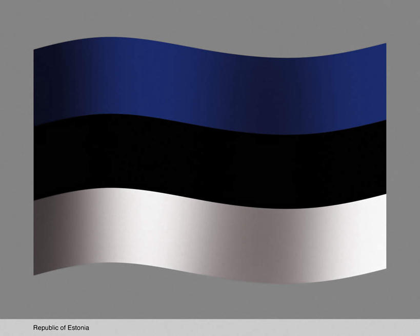 无人,横图,插画,室内,白天,正面,数码,科技,旗帜,国旗,欧洲,爱沙尼亚,一面,阴影,灰色背景,条纹,曲折,弯曲,光线,网络,影子,高光,几何,计算机图形,合成,图画,画,一个,蓝色,白色,黑色,蜿蜒,单个,电脑合成图,数码合成图,漫画,东欧,写实,具体,具象,爱沙尼亚共和国,旗,彩图