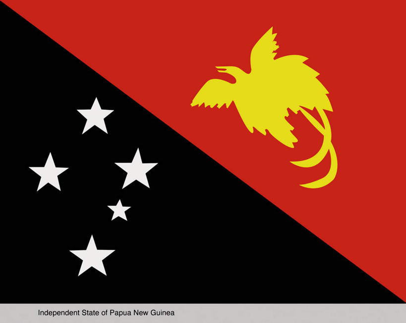 无人,横图,插画,室内,白天,正面,数码,科技,鸟,旗帜,国旗,巴布亚新几内亚,一面,阴影,光线,网络,鸟类,三角形,影子,高光,几何,计算机图形,合成,图画,画,一个,一只,黄色,红色,白色,黑色,单个,电脑合成图,数码合成图,大洋洲,漫画,极乐鸟,写实,具体,具象,太阳鸟,巴布亚新几内亚独立国,风鸟,雾鸟,天堂鸟,旗,彩图