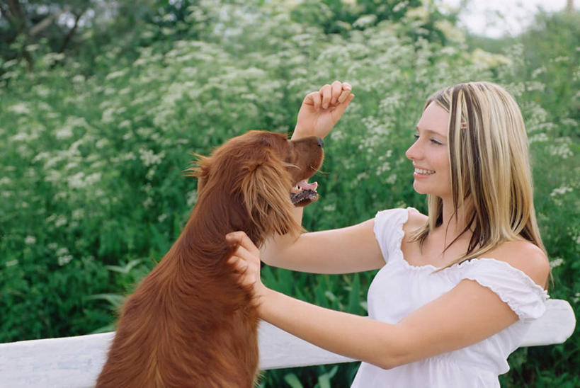 点心,西方人,一个人,站,举,笑,微笑,露齿笑,横图,室外,白天,侧面,植物,宠物,狗,欧洲,欧洲人,仅一个年轻女性,仅一个女性,仅一个人,握,服装,食品,猎犬,拿,拿着,注视,休闲装,树,树木,食物,一只,衣服,绿色,自然,动物,饼干,零食,观察,看,托,站着,休闲,休闲服,可爱,握着,服饰,生长,成长,观看,察看,关注,忠诚,爱尔兰猎狼犬,年轻女性,女人,女性,白种人,犬,举起,举手,举着,向上举,向上伸,向上托,站立,半身,彩图