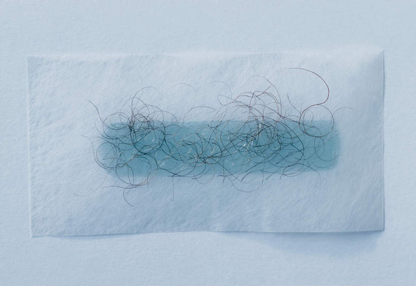 无人,横图,俯视,室内,特写,白天,白色背景,静物,一张,阴影,朦胧,模糊,光线,材料,档案,文件,影子,纸,手稿,资料,脱毛,摄影,影棚,证明,毛发,文档,蜜蜡,彩图,高角度拍摄,影棚拍摄,拍摄