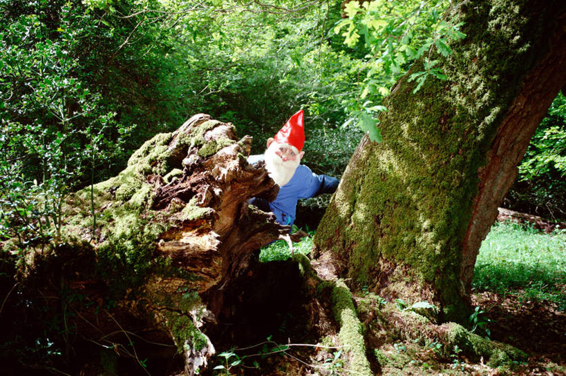 西方人,一个人,站,横图,室外,白天,正面,草地,草坪,植物,帽子,欧洲,圣诞节,欧洲人,仅一个男性,仅一个人,仅一个中年男性,圣诞老人,躲藏,阴影,服装,节日,庆祝,光线,影子,注视,文化,草,树,树木,衣服,红色,绿色,阳光,自然,观察,看,站着,庆典,圣诞帽,服饰,生长,成长,观看,纪念,察看,衣着,穿着,关注,表演服,演出服,一顶,棉帽,衣饰,道具服,男人,男性,中年男性,白种人,站立,彩图,全身