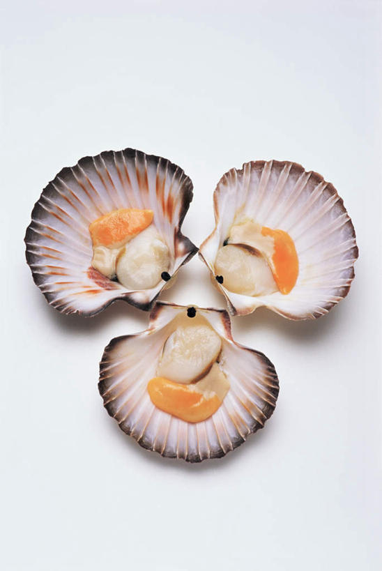 海鲜,无人,竖图,俯视,室内,特写,白天,白色背景,阴影,反射,影子,牡蛎,水产,海洋生物,三个,摄影,影棚,生蚝,水生动物,海产品,水生物,海底动物,彩图,高角度拍摄,全身,影棚拍摄,拍摄