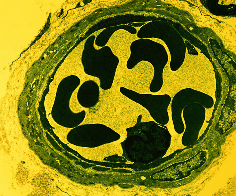 无人,横图,俯视,室内,特写,白天,仪器,微生物,检查,反射,分析,科学,医学,细胞,显微镜,黄色,绿色,观察,粘液,清晰,探索,放大,观看,仔细,透镜,生物学,凸透镜,聚焦,关注,黏液,神经元,光学,清楚,神经细胞,彩图,高角度拍摄