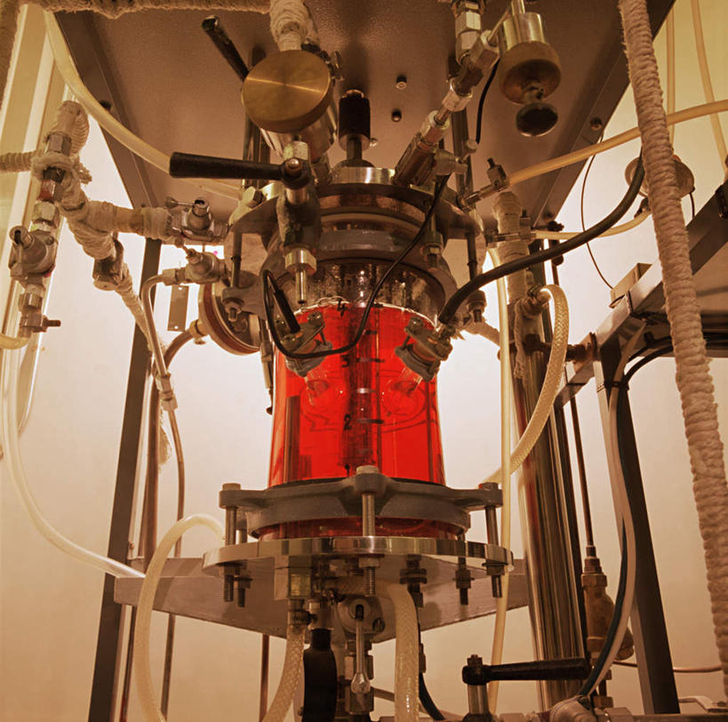 无人,医院,横图,室内,白天,仰视,实验,研究,电力,科学,电线,线,墙,实验室,研究室,电能,线路,墙壁,墙面,白色,容器,储藏,电,电源,电源线,科研,储存,化验,能量,检验,研究所,医疗机构,化验室,检验室,彩图,低角度拍摄,病院,诊所,贮存