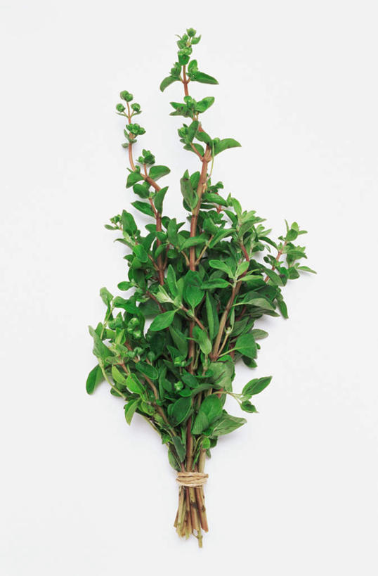 无人,竖图,俯视,室内,特写,白天,白色背景,桌面,桌子,叶子,木制,绿叶,木制品,绳子,嫩叶,摄影,影棚,绳索,墨角兰,马郁兰草,叶,叶片,彩图,高角度拍摄,影棚拍摄,拍摄