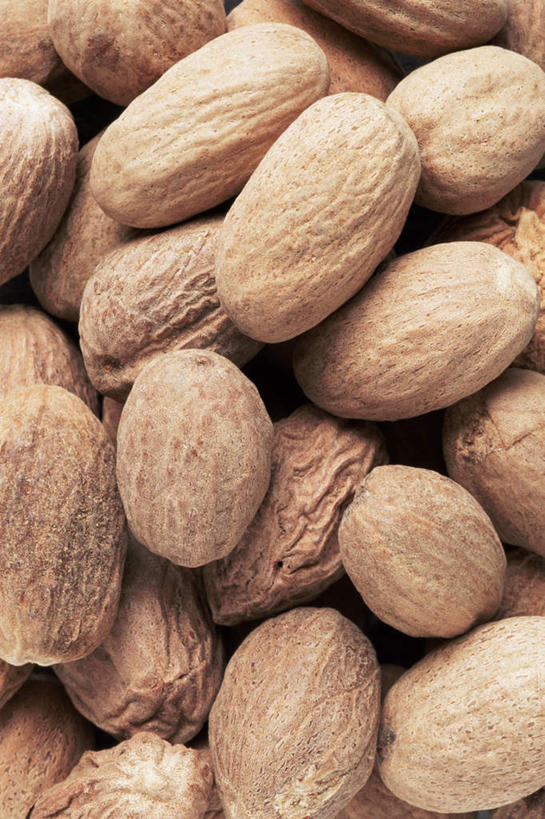 无人,竖图,俯视,室内,特写,白天,植物,桌面,桌子,一堆,许多,堆叠,堆积,木制,香料,草药,药草,很多,中药,木制品,摄影,影棚,堆,肉豆蔻,药材,中草药,肉蔻,肉果,玉果,中药材,本草,消食,彩图,高角度拍摄,影棚拍摄,拍摄