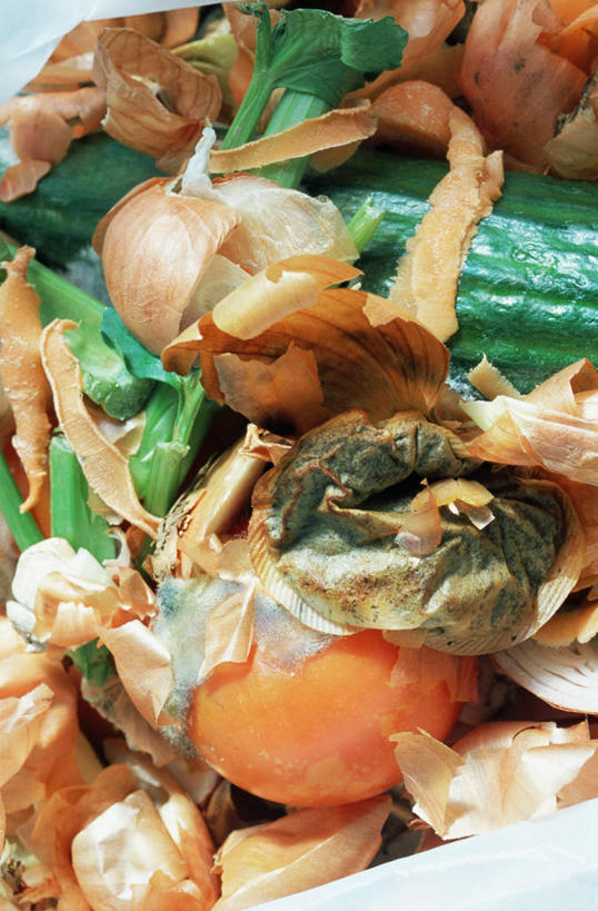 无人,竖图,俯视,室外,白天,芹菜,蔬菜,西红柿,洋葱,环保,新鲜,食品,垃圾桶,食物,容器,有机食品,绿色食品,能源,储藏,垃圾箱,腐烂,回收,资源,储存,利用,低碳,循环,乳腺,持续,腐败,腐臭,腐朽,圆葱,药芹,洋葱头,水芹,球葱,旱芹,番茄,彩图,高角度拍摄,贮存