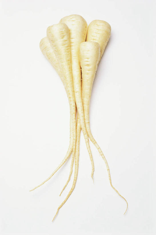 无人,竖图,俯视,室内,特写,白天,白色背景,植物,桌面,桌子,木制,草药,药草,中药,白色,木制品,摄影,影棚,药材,中草药,中药材,本草,防风草,四方茎,土防风,彩图,高角度拍摄,影棚拍摄,拍摄