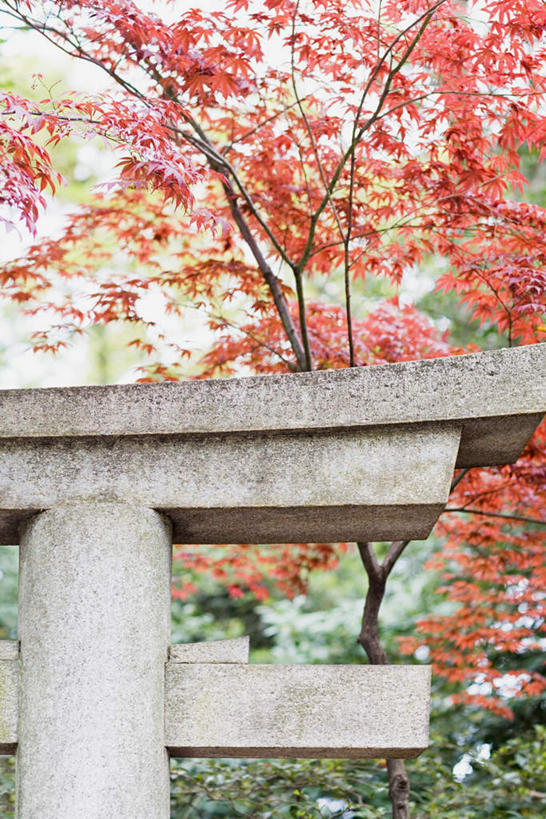 无人,寺庙,竖图,室外,白天,仰视,旅游,度假,植物,标志建筑,地标,建筑,京都,日本,亚洲,节日,木制,柱子,鸟居,神社,燃烧,文化,娱乐,建设,树,树木,绿色,自然,木制品,香火,庙宇,祈祷,享受,休闲,健康,旅游胜地,放松,许愿,宗教,信仰,京都府,生长,成长,纪念,神道,祈求,祭祀,东亚,本州,本州岛,日本国,近畿地方,近畿,神道教,社屋,平安,彩图,低角度拍摄,庙,寺