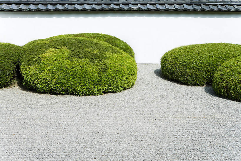 无人,横图,室外,白天,正面,植物,建筑,日本,亚洲,环保,瓦片,墙,防护,瓦,墙壁,墙面,树,树木,绿色,自然,建造,生长,成长,美好,美妙,间隔,东亚,屋瓦,日本国,美观,雅观,绿篱,生篱,树篱,植篱,彩图