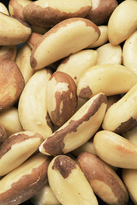 竖图,俯视,室内,特写,白天,一堆,许多,阴影,堆叠,堆积,反射,影子,坚果,棕色,果实,黄色,干果,摄影,影棚,堆,巴西栗,巴西坚果,巴西果,鲍鱼果,彩图,高角度拍摄,影棚拍摄,拍摄