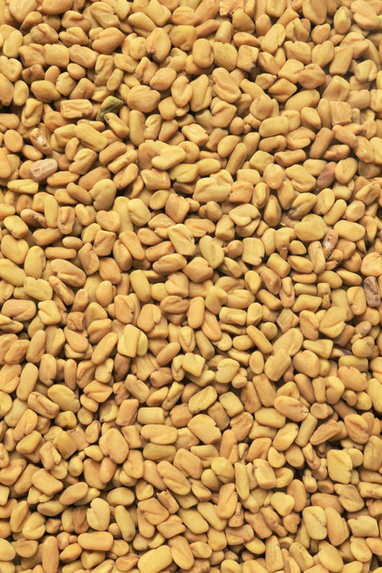 无人,竖图,俯视,室内,特写,白天,植物,桌面,桌子,一堆,堆叠,堆积,木制,棕色,草药,药草,中药,木制品,摄影,影棚,堆,葫芦巴,苦豆,药材,中草药,中药材,本草,胡芦巴,香豆子,小木夏,彩图,高角度拍摄,影棚拍摄,拍摄