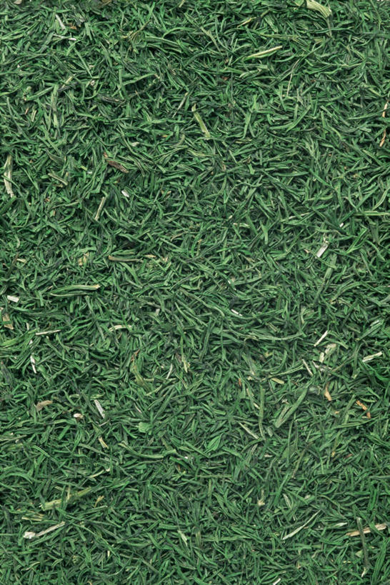 无人,竖图,俯视,室内,特写,白天,桌面,桌子,木制,绿色,木制品,摄影,影棚,莳萝,洋茴香,土茴香,彩图,高角度拍摄,影棚拍摄,拍摄