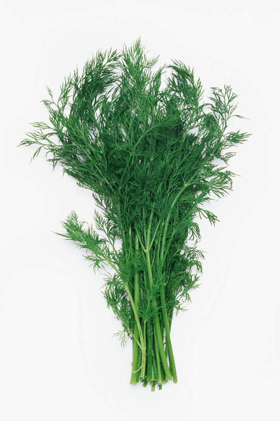 无人,竖图,俯视,室内,特写,白天,白色背景,桌面,桌子,叶子,木制,绿叶,绿色,木制品,嫩叶,摄影,影棚,莳萝,洋茴香,土茴香,叶,叶片,彩图,高角度拍摄,影棚拍摄,拍摄