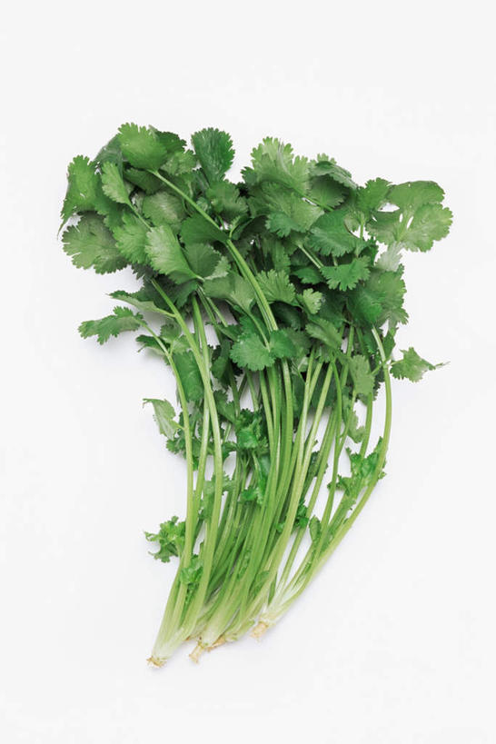 无人,竖图,俯视,室内,特写,白天,白色背景,蔬菜,叶子,新鲜,香菜,食品,绿叶,食物,嫩叶,摄影,有机食品,绿色食品,影棚,胡菜,香荽,原荽,园荽,芫荽,胡荽,莞荽,芫茜,芫蓿,莚葛草,莚荽菜,叶,叶片,彩图,高角度拍摄,影棚拍摄,拍摄
