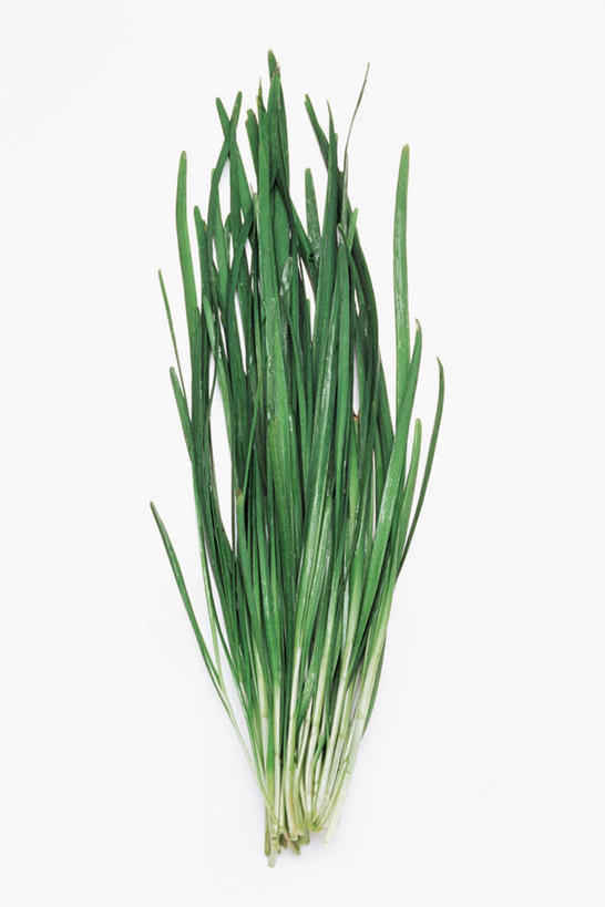 无人,竖图,俯视,室内,特写,白天,白色背景,植物,桌面,桌子,蔬菜,新鲜,木制,葱,食品,草药,药草,中药,食物,绿色,自然,木制品,摄影,有机食品,绿色食品,影棚,生长,成长,细香葱,香葱,药材,中草药,中药材,本草,彩图,高角度拍摄,影棚拍摄,拍摄