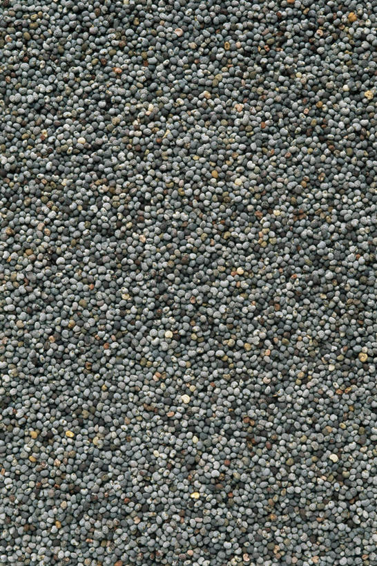 无人,竖图,俯视,室内,特写,白天,植物,桌面,桌子,罂粟,一堆,堆叠,堆积,木制,草药,中药,木制品,摄影,影棚,堆,罂粟籽,毒品,药材,中草药,中药材,本草,止痛,镇静,安眠,罂粟花,彩图,高角度拍摄,影棚拍摄,拍摄