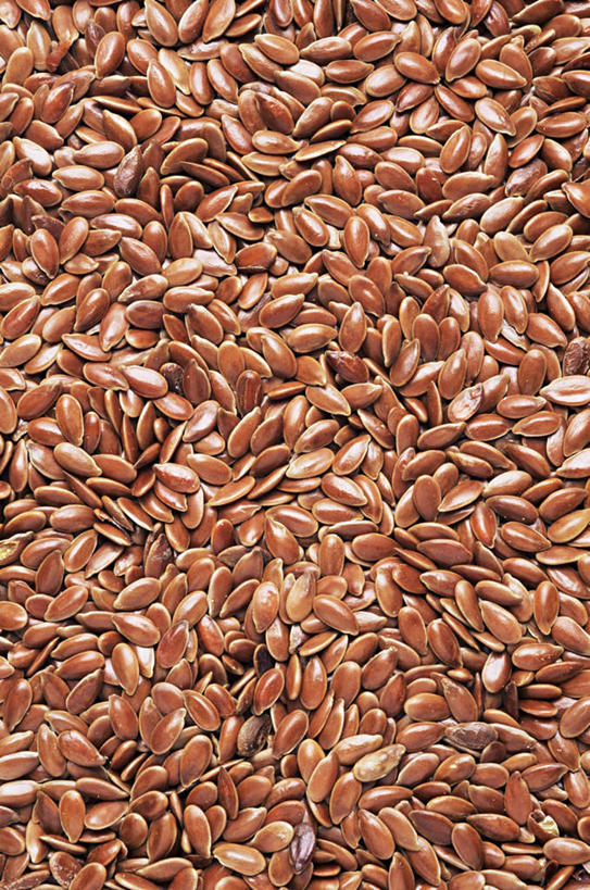 无人,竖图,俯视,室内,特写,白天,农作物,植物,一堆,许多,阴影,堆叠,堆积,反射,影子,谷物,亚麻,红色,摄影,影棚,堆,亚麻籽,胡麻,纤维作物,油料作物,彩图,高角度拍摄,影棚拍摄,拍摄