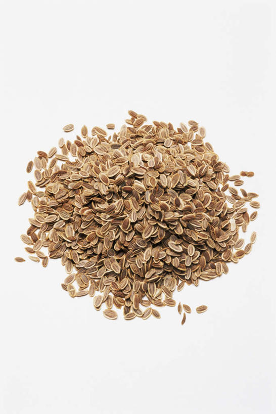 无人,竖图,俯视,室内,特写,白天,白色背景,一堆,阴影,堆叠,堆积,反射,影子,调料,褐色,调味品,调味料,摄影,影棚,堆,莳萝,洋茴香,土茴香,彩图,高角度拍摄,影棚拍摄,拍摄