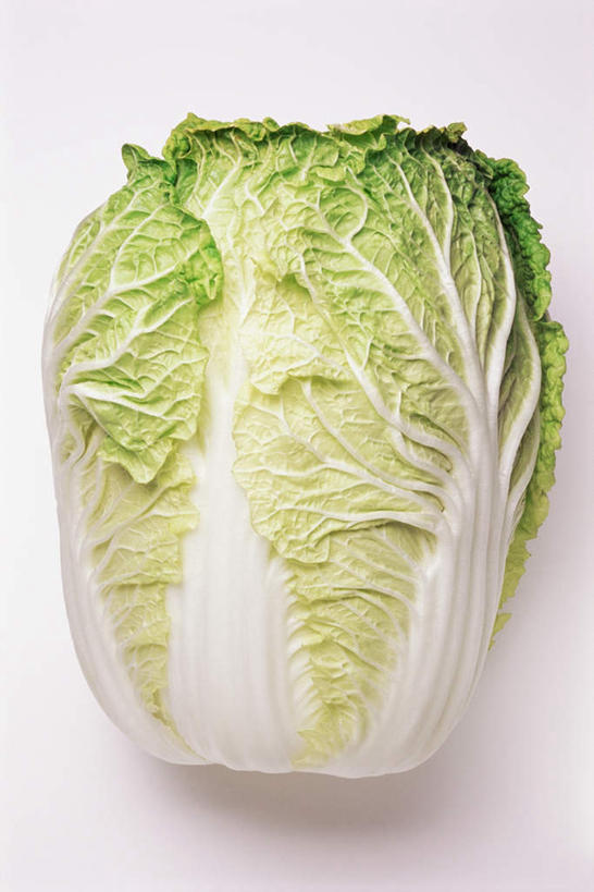 无人,竖图,俯视,室内,特写,白天,白色背景,蔬菜,一棵,阴影,新鲜,反射,影子,大白菜,食品,白菜,食物,摄影,有机食品,绿色食品,影棚,胶菜,镳菜,彩图,高角度拍摄,影棚拍摄,拍摄