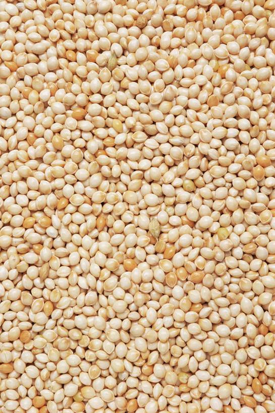 无人,竖图,俯视,室内,特写,白天,桌面,桌子,一堆,许多,堆叠,堆积,木制,谷物,很多,木制品,粟米,摄影,影棚,堆,小米,谷子,粟,粢米,彩图,高角度拍摄,影棚拍摄,拍摄