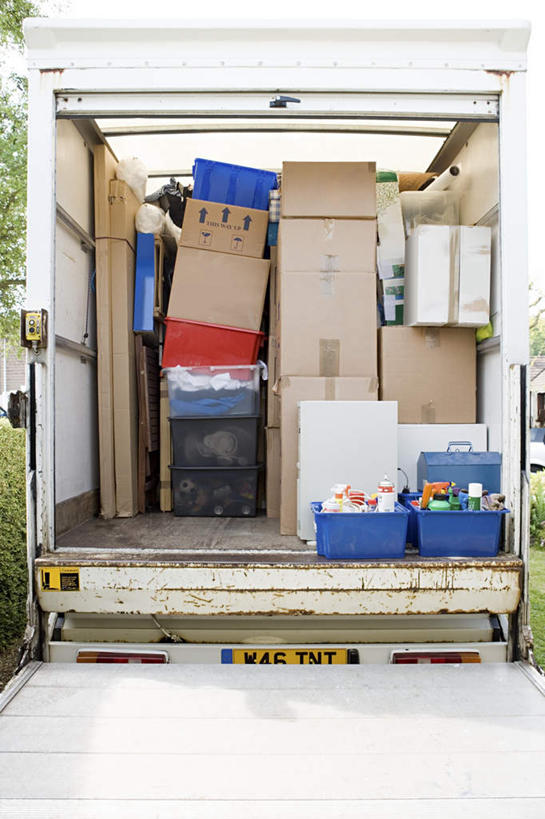 无人,竖图,室内,白天,正面,植物,汽车,一堆,一辆,许多,堆叠,堆积,包装,纸箱,墙,面包车,墙壁,墙面,车,树,树木,绿色,自然,容器,箱子,交通工具,生长,成长,堆,载具,纸板箱,包装箱,彩图