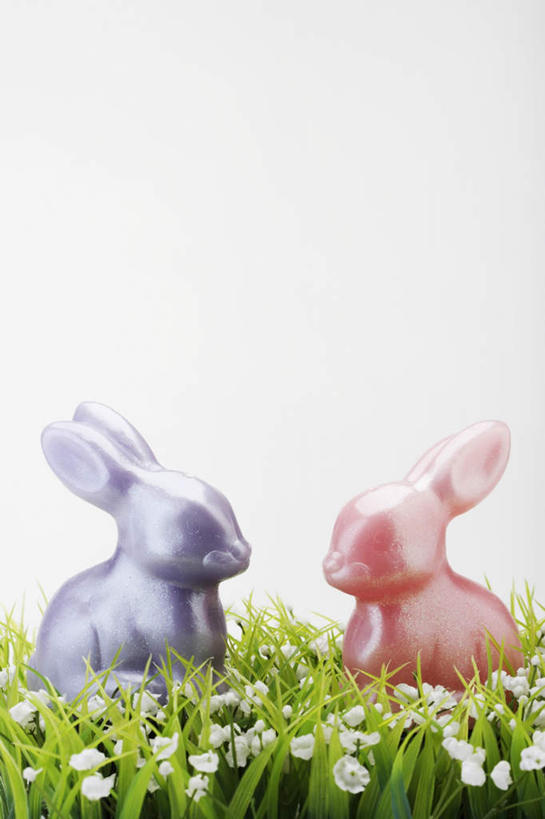 无人,竖图,室内,特写,白天,正面,草地,草坪,花海,花圃,植物,叶子,复活节,粉色背景,节日,庆祝,盛开,兔子,食品,糖,糖果,甜点,甜品,花蕾,文化,草,花,花瓣,花朵,花卉,鲜花,食物,两个,粉色,蓝色,绿色,甜食,巧克力,花丛,花束,花田,花苞,花蕊,庆典,摄影,影棚,纪念,朱古力,复活节兔子,彩图,影棚拍摄,拍摄