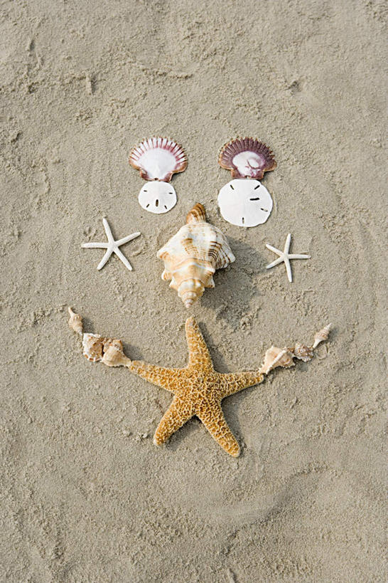 无人,竖图,俯视,室外,特写,白天,沙滩,海星,许多,沙子,海岸,海螺,沙地,很多,海洋生物,排列,自然,动物,生物,软体动物,峨螺,水生动物,水生物,海底动物,摆列,棘皮动物门,海滩,星鱼,彩图,高角度拍摄,布列,分列