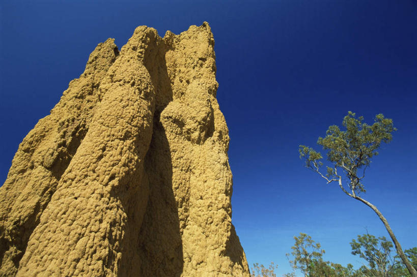 无人,公园,横图,室外,白天,仰视,旅游,度假,石头,美景,植物,澳大利亚,阴影,光线,纹路,石子,纹理,影子,景观,娱乐,树,树木,蓝色,绿色,蓝天,天空,自然,天,享受,休闲,景色,放松,生长,晴朗,成长,国家公园,自然风光,大洋洲,澳洲,万里无云,南方大陆,肌理,澳大利亚联邦,北领地,卡卡都国家公园,卡卡杜国家公园,石块,岩石,晴空,晴空万里,彩图,低角度拍摄