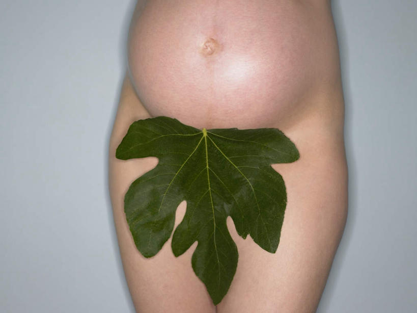 西方人,孕妇,腹部,腿部,腿,一个人,横图,室内,特写,白天,正面,植物,叶子,欧洲,欧洲人,仅一个女性,仅一个人,纹理,绿叶,绿色,仅一个中年女性,怀孕,嫩叶,遮,遮掩,摄影,影棚,掩盖,遮挡,待产,遮盖,肌理,掩饰,妊娠,准妈妈,八角金盘,八角金盆,八叶金盘,女人,女性,中年女性,白种人,腹,肚子,产妇,叶,叶片,叶脉,半身,彩图,影棚拍摄,拍摄