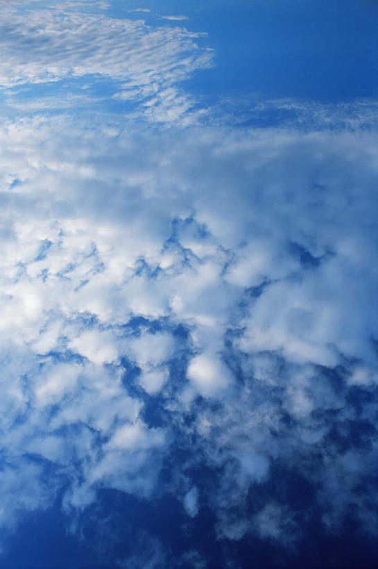 无人,竖图,室外,特写,白天,仰视,飞机,飞翔,阴影,飞行,光线,影子,云,云朵,交通,翱翔,云彩,航空,飞,蓝色,白云,蓝天,天空,阳光,交通工具,天,驾驶,行驶,运输,一架,晴朗,操纵,控制,客机,载具,操控,把持,晴空,彩图,低角度拍摄