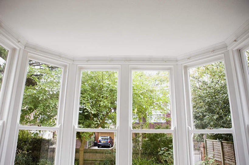 无人,栏杆,横图,室内,白天,仰视,植物,窗户,落地窗,栅栏,墙,篱笆,围栏,护栏,玻璃窗,墙壁,墙面,树,树木,绿色,白色,自然,生长,成长,彩图,低角度拍摄